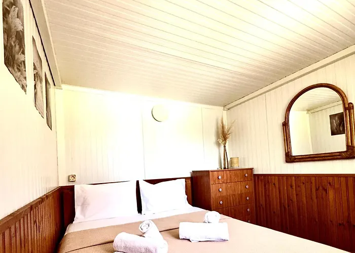 Olea Case de vacanță