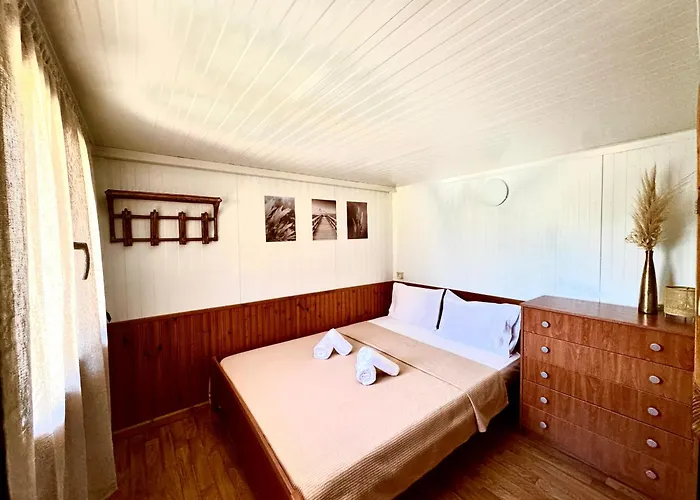 Olea Case de vacanță